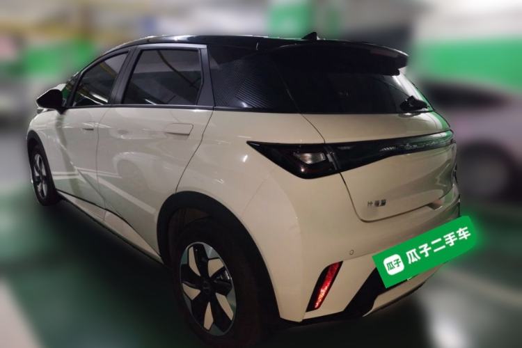 Used BYD Dolphin 2025 420km Free Edition Rear Left 45 Deg