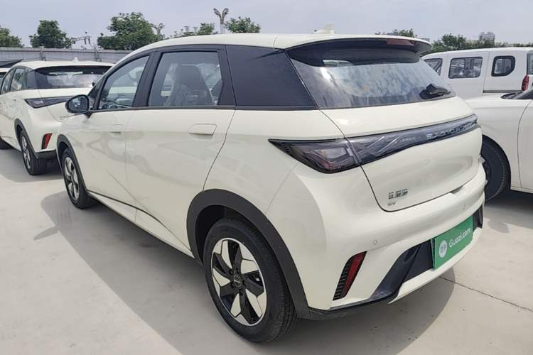 Used BYD Dolphin 2025 420km Free Edition Rear Left 45 Deg