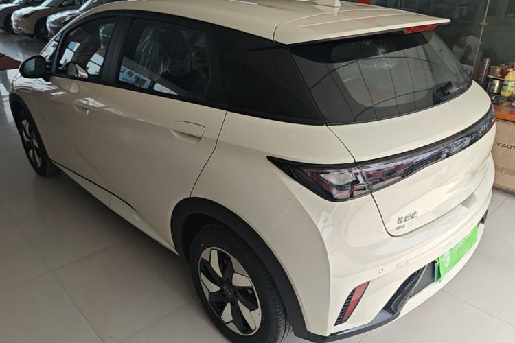 Used BYD Dolphin 2025 420km Free Edition Rear Left 45 Deg
