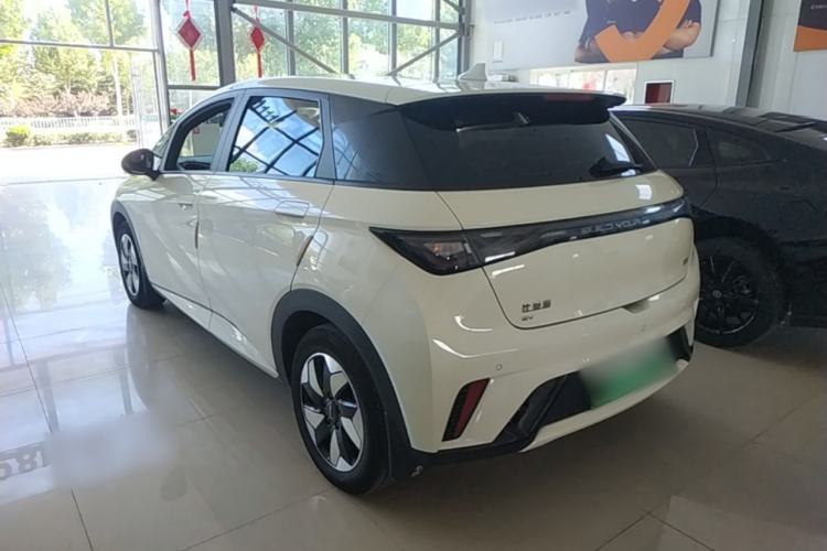Used BYD Dolphin 2025 420km Free Edition Rear Left 45 Deg