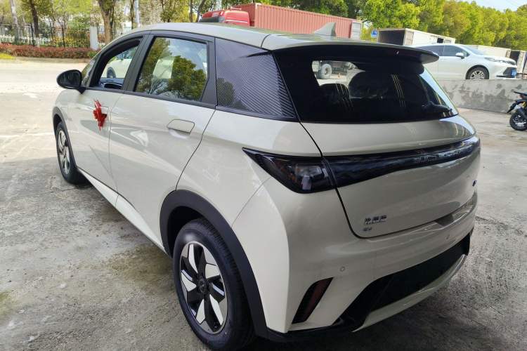 Used BYD Dolphin 2025 420km Free Edition Rear Left 45 Deg