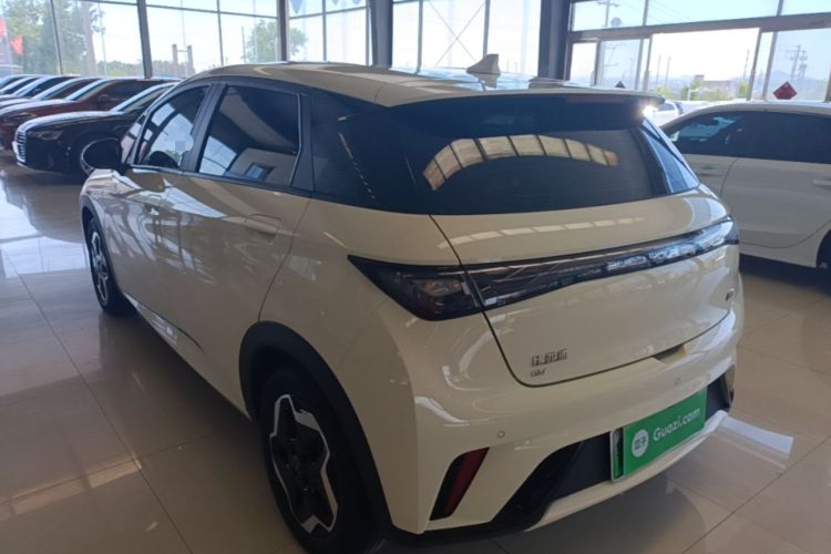 Used BYD Dolphin 2025 420km Active Version Rear Left 45 Deg