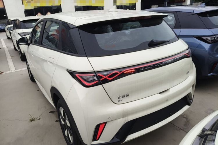 Used BYD Dolphin 2025 420km Free Edition Rear Left 45 Deg