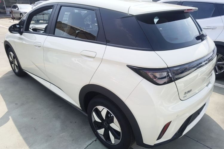 Used BYD Dolphin 2025 420km Free Edition Rear Left 45 Deg
