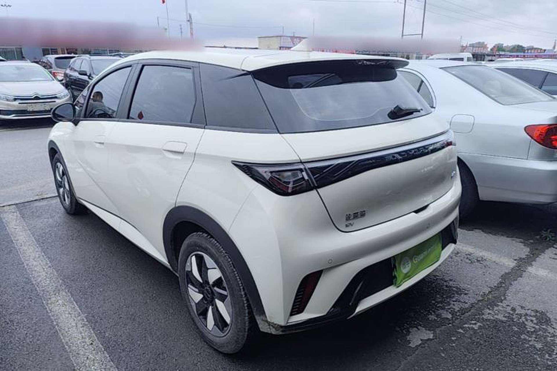 Used BYD Dolphin 2025 420km Free Edition Rear Left 45 Deg