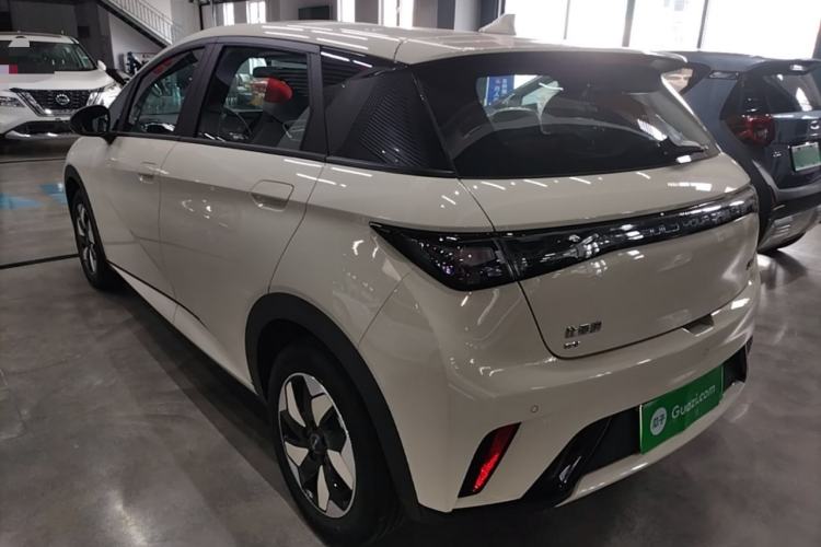 Used BYD Dolphin 2025 420km Free Edition Rear Left 45 Deg