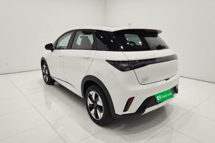Used BYD Dolphin 2025 420km Free Edition Rear Left 45 Deg