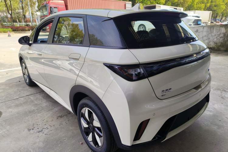 Used BYD Dolphin 2025 420km Free Edition Rear Left 45 Deg