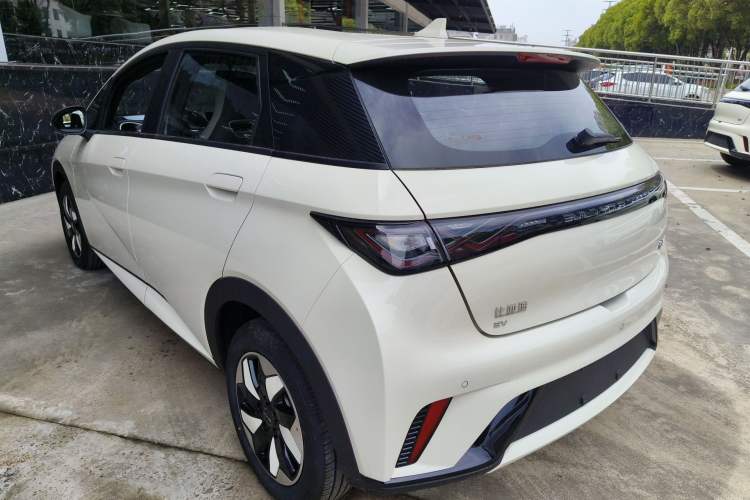 Used BYD Dolphin 2025 420km Free Edition Rear Left 45 Deg