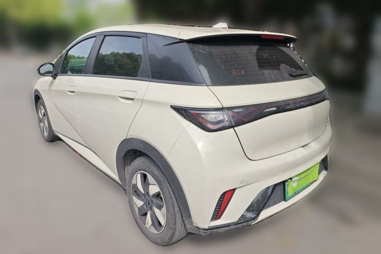Used BYD Dolphin 2025 420km Free Edition Rear Left 45 Deg