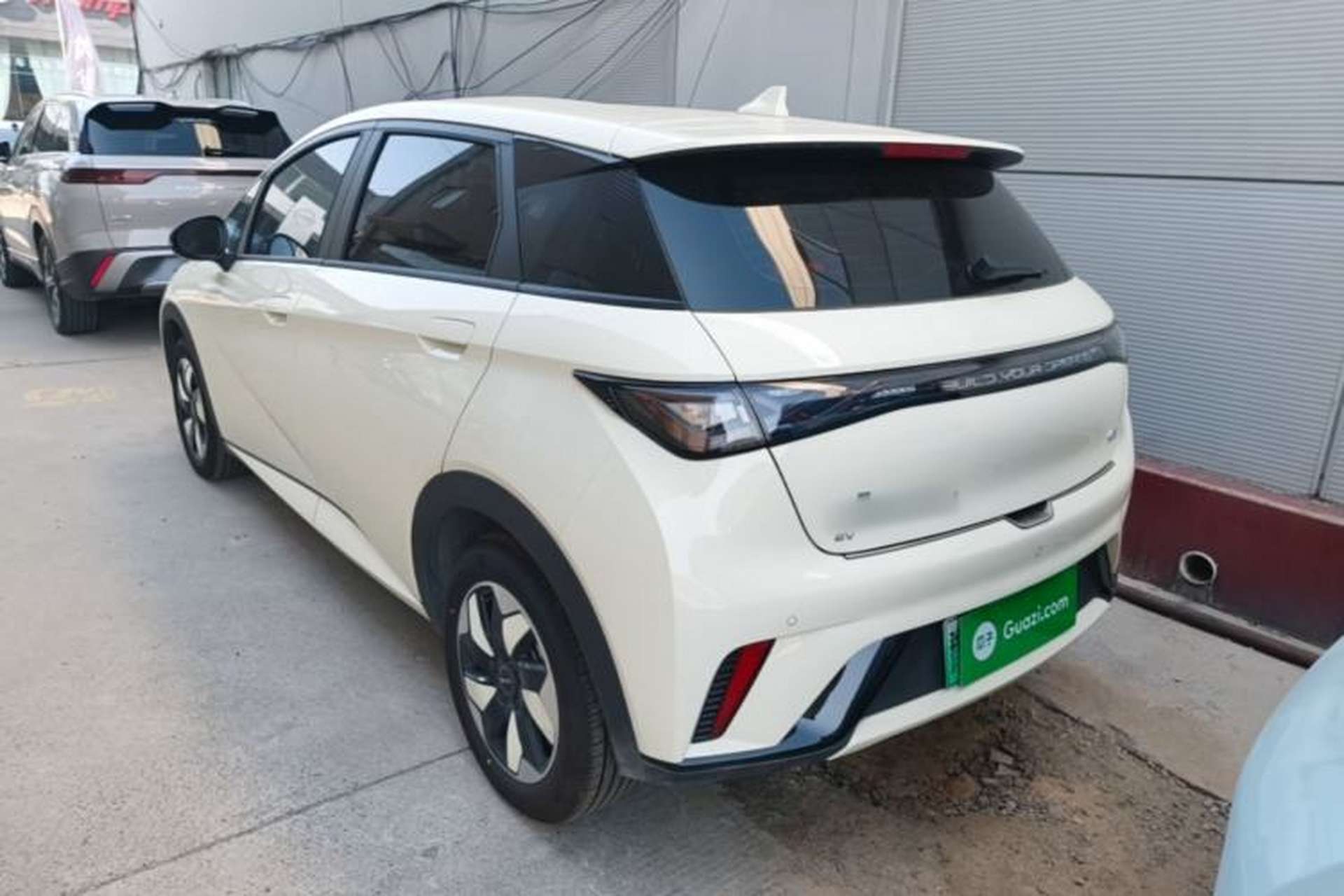 Used BYD Dolphin 2025 420km Free Edition Rear Left 45 Deg