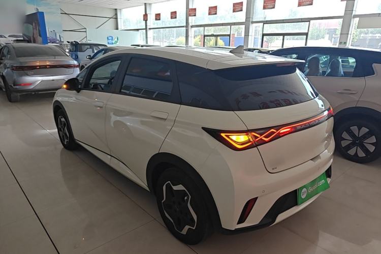 Used BYD Dolphin 2025 420km Active Version Rear Left 45 Deg