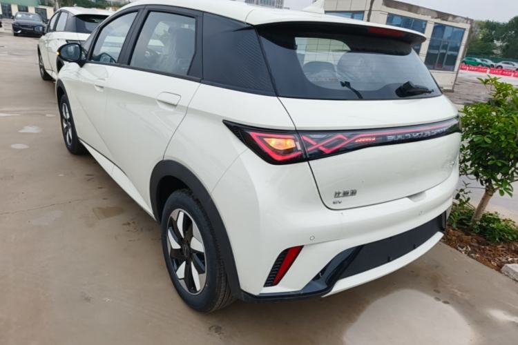 Used BYD Dolphin 2025 420km Free Edition Rear Left 45 Deg
