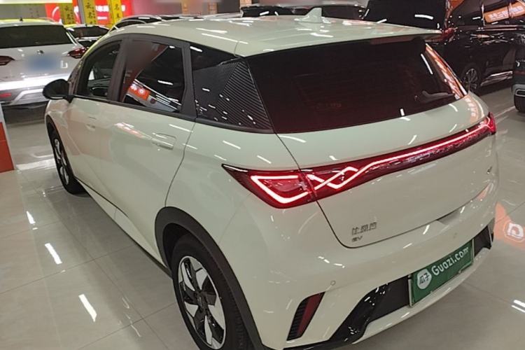 Used BYD Dolphin 2025 420km Free Edition Rear Left 45 Deg