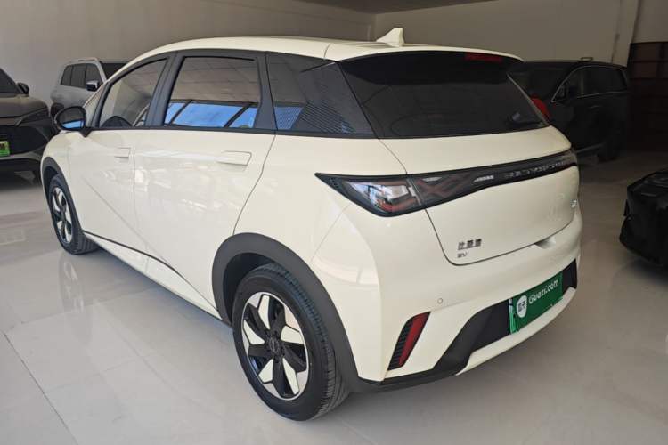 Used BYD Dolphin 2025 420km Free Edition Rear Left 45 Deg