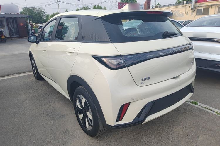 Used BYD Dolphin 2025 420km Free Edition Rear Left 45 Deg