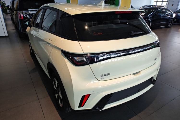 Used BYD Dolphin 2025 420km Free Edition Rear Left 45 Deg