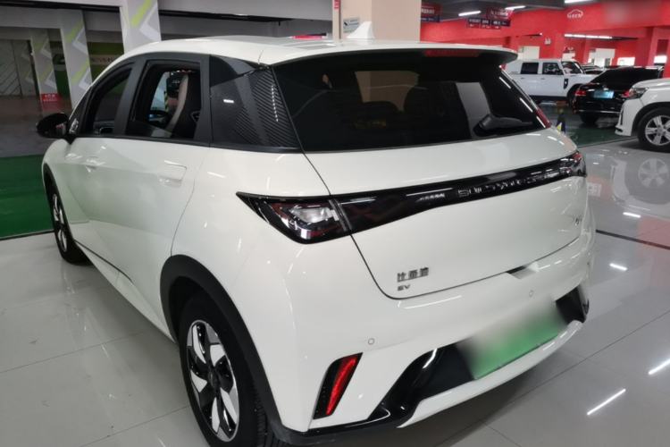 Used BYD Dolphin 2025 420km Free Edition Rear Left 45 Deg