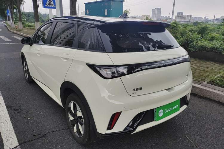 Used BYD Dolphin 2025 420km Free Edition Rear Left 45 Deg