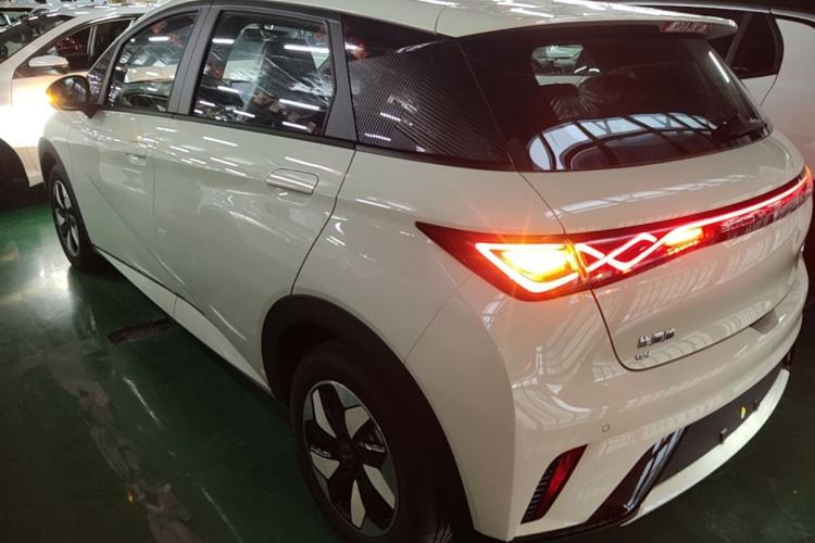 Used BYD Dolphin 2025 420km Free Edition Rear Left 45 Deg