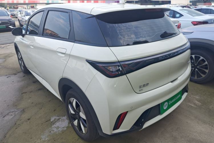 Used BYD Dolphin 2025 420km Free Edition Rear Left 45 Deg