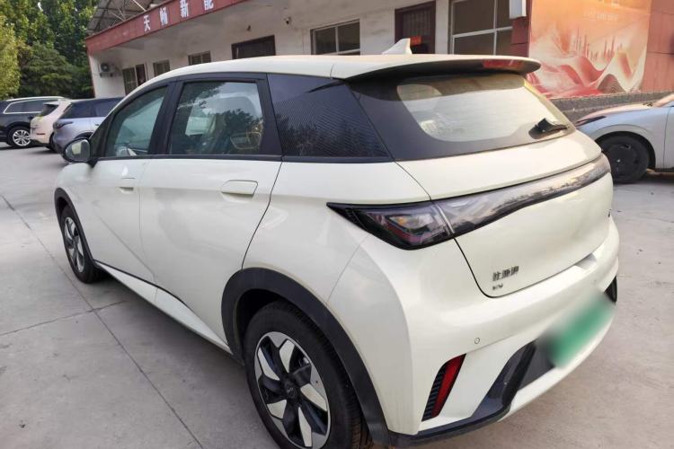 Used BYD Dolphin 2025 420km Free Edition Rear Left 45 Deg