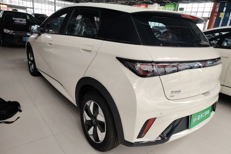 Used BYD Dolphin 2025 420km Free Edition Rear Left 45 Deg