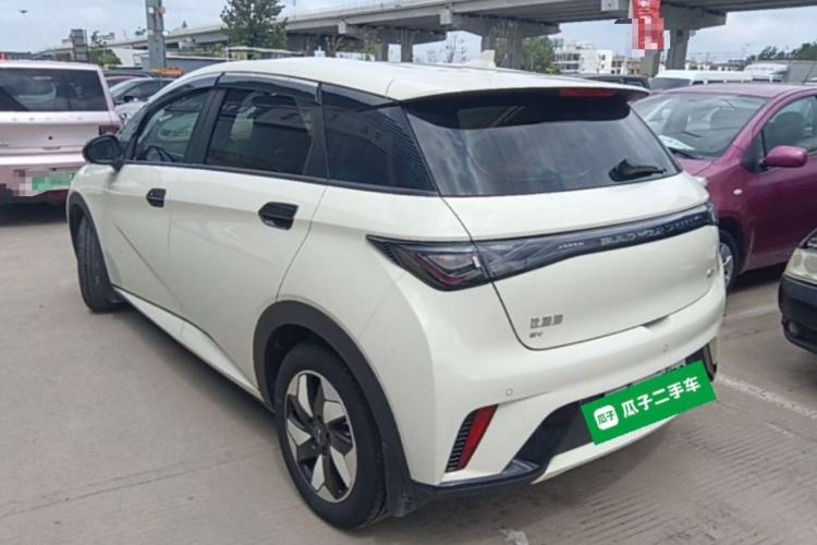 Used BYD Dolphin 2025 420km Free Edition Rear Left 45 Deg