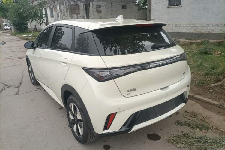 Used BYD Dolphin 2025 420km Free Edition Rear Left 45 Deg