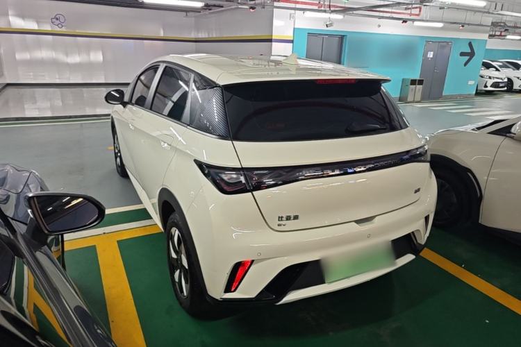 Used BYD Dolphin 2025 420km Free Edition Rear Left 45 Deg