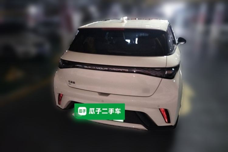 Used BYD Dolphin 2025 420km Free Edition Rear