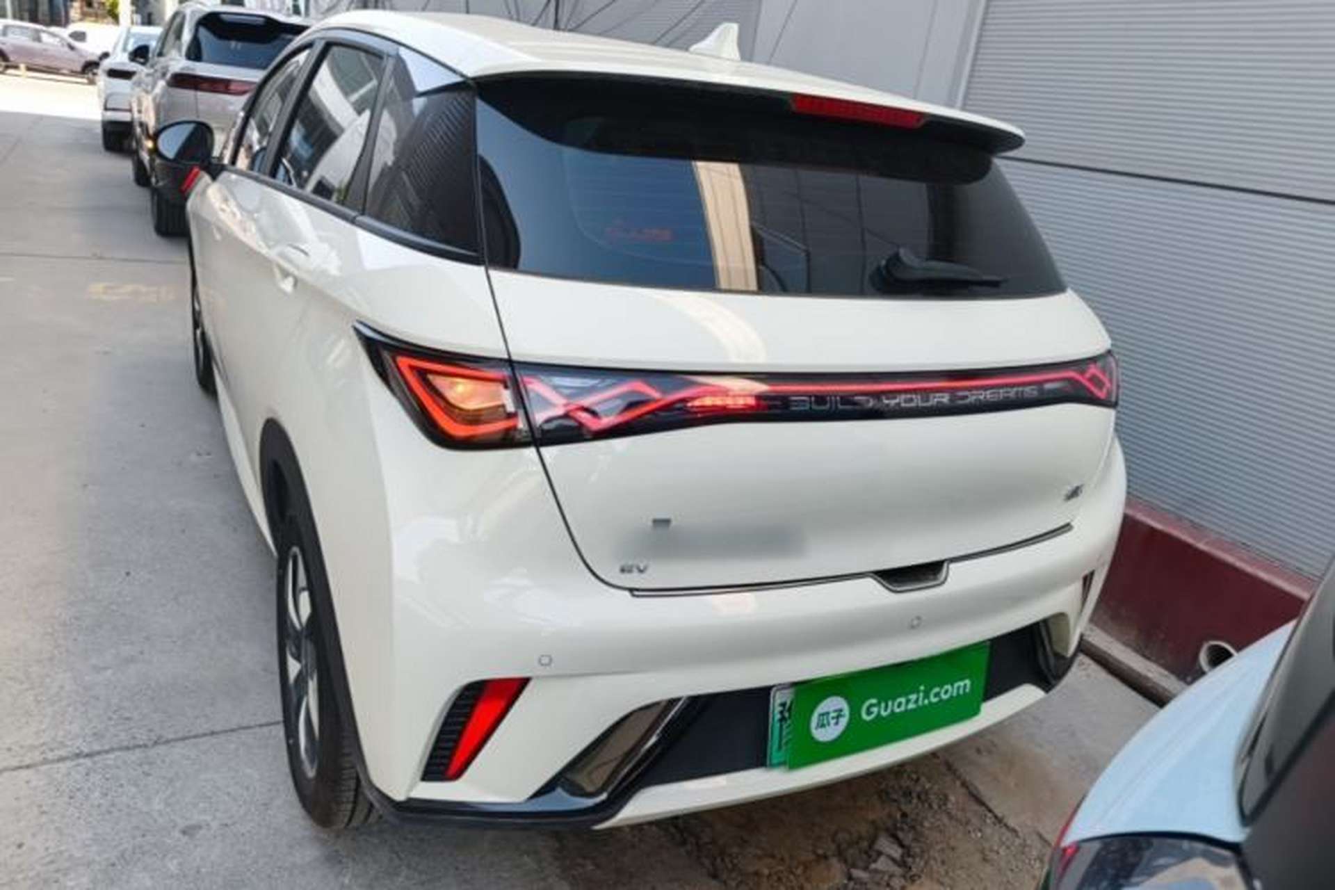 Used BYD Dolphin 2025 420km Free Edition Rear
