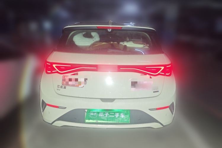 Used BYD Dolphin 2025 Smart Drive Version 420 km Freedom Edition Rear