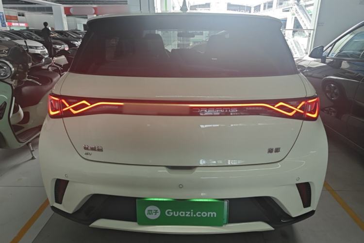 Used BYD Dolphin 2025 420km Free Edition Rear