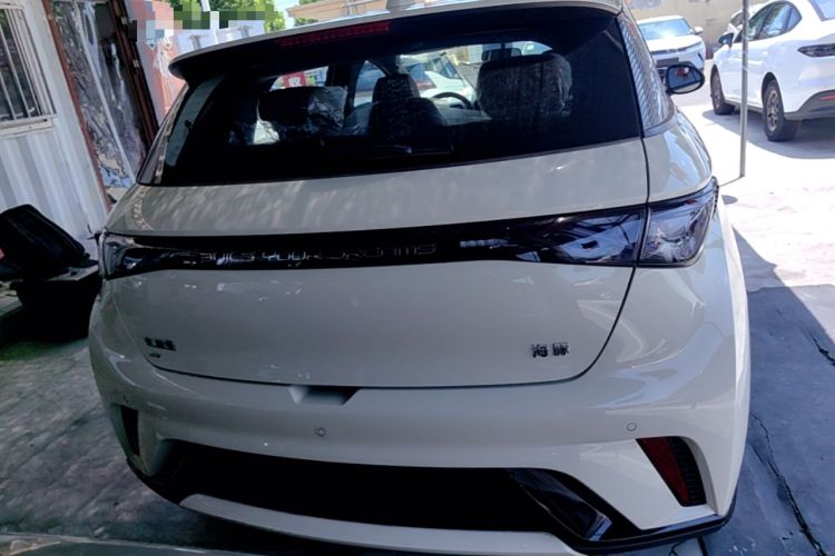 Used BYD Dolphin 2025 420km Free Edition Rear