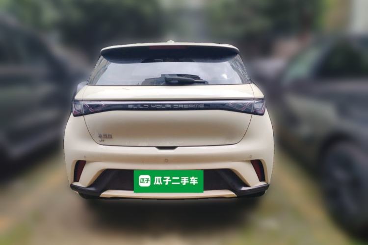 Used BYD Dolphin 2025 420km Free Edition Rear