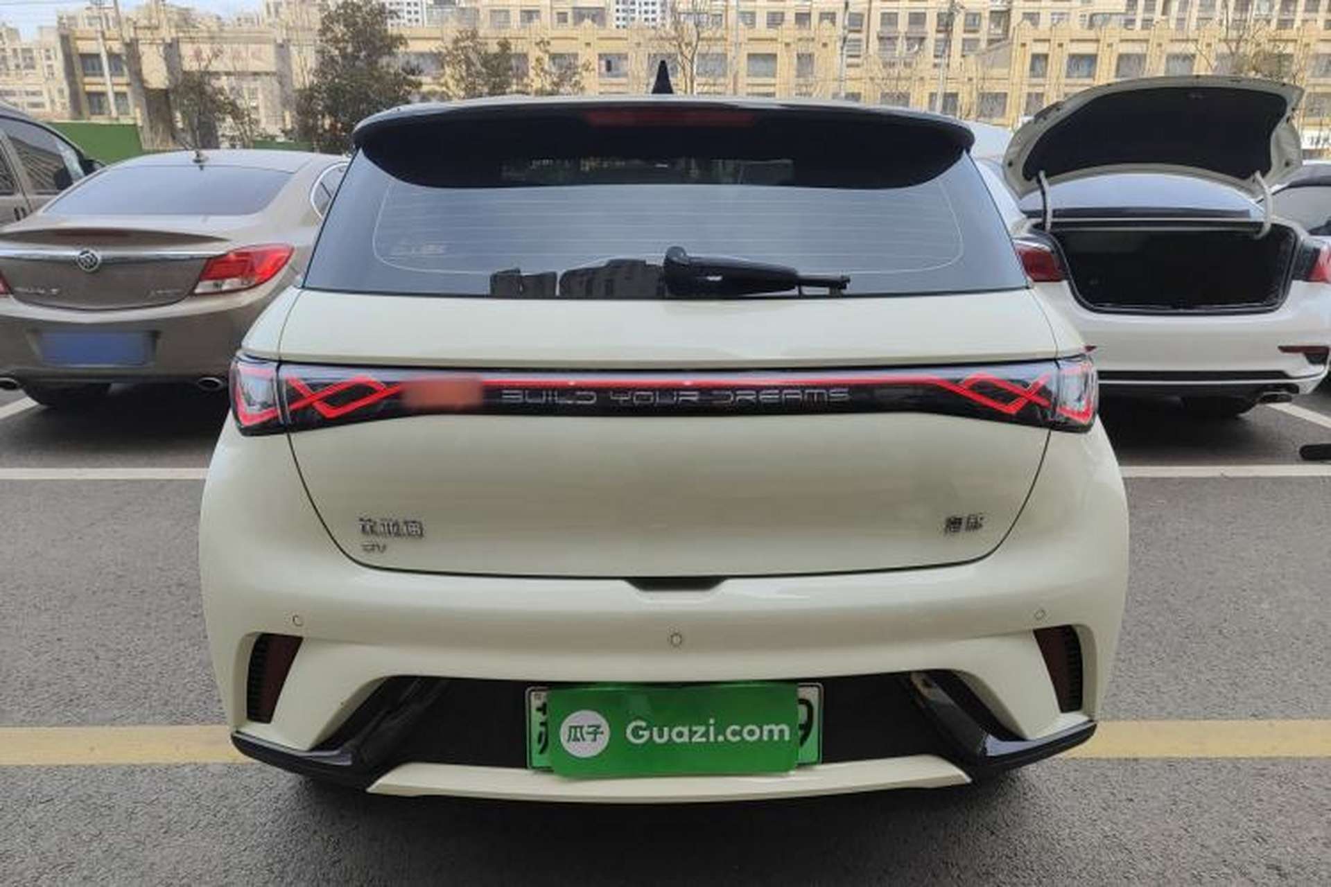 Used BYD Dolphin 2025 420km Free Edition Rear