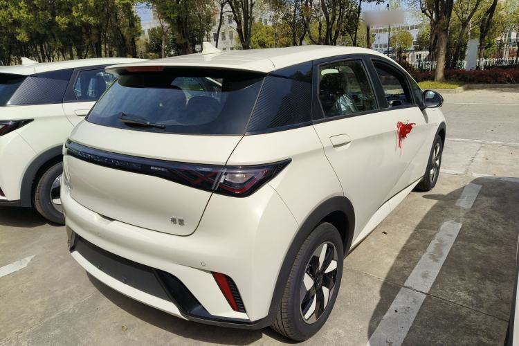 Used BYD Dolphin 2025 420km Free Edition Rear Right 45 Deg