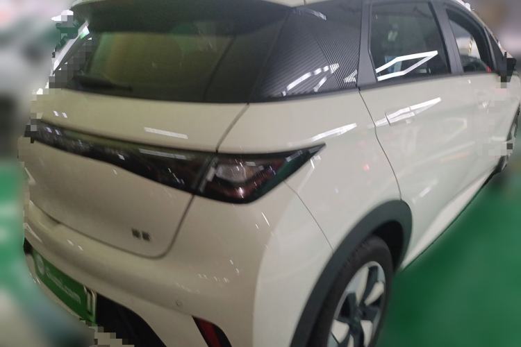 Used BYD Dolphin 2025 420km Free Edition Rear Right 45 Deg