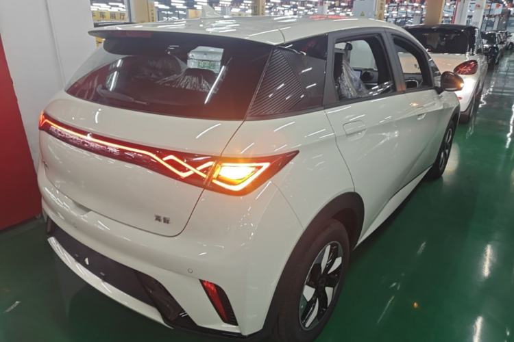 Used BYD Dolphin 2025 420km Free Edition Rear Right 45 Deg