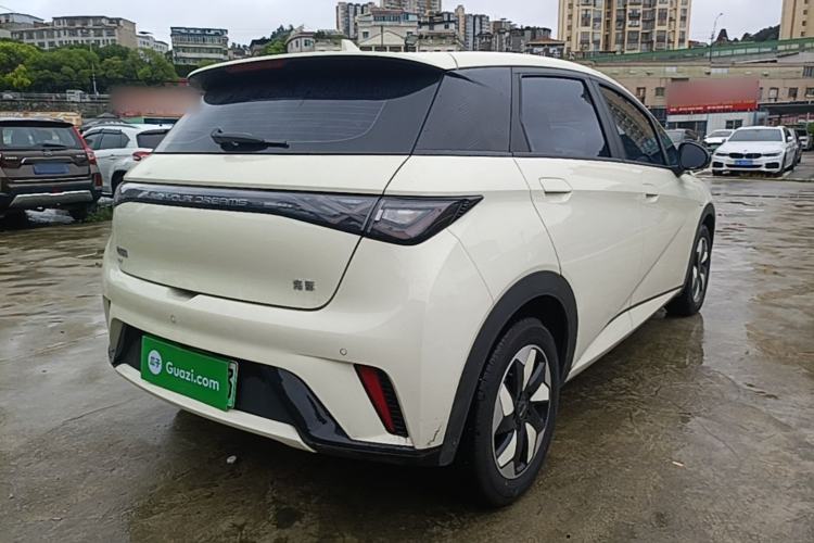 Used BYD Dolphin 2025 520km Range Knight Edition Rear Right 45 Deg