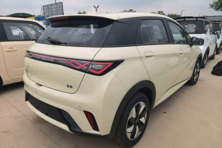 Used BYD Dolphin 2025 420km Free Edition Rear Right 45 Deg