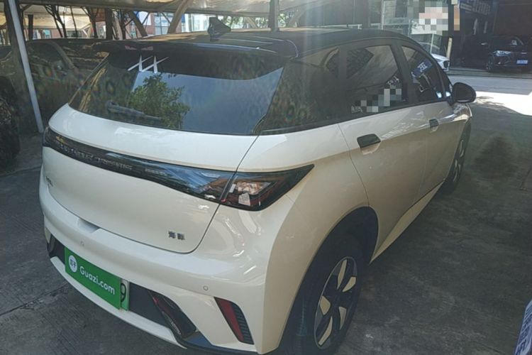 Used BYD Dolphin 2025 420km Fashion Edition Rear Right 45 Deg