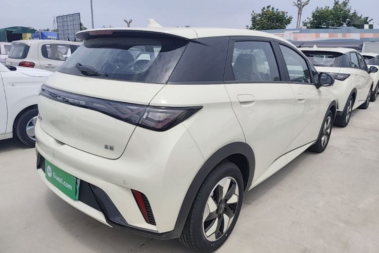 Used BYD Dolphin 2025 420km Free Edition Rear Right 45 Deg