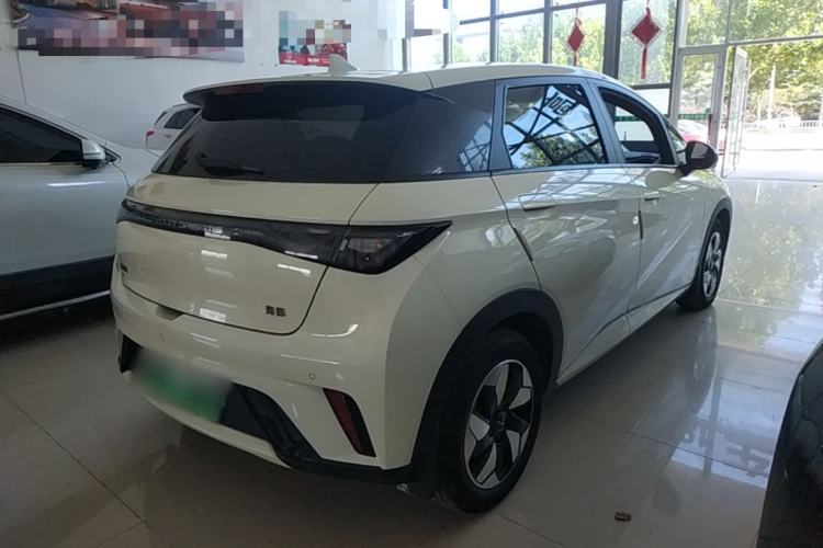 Used BYD Dolphin 2025 420km Free Edition Rear Right 45 Deg