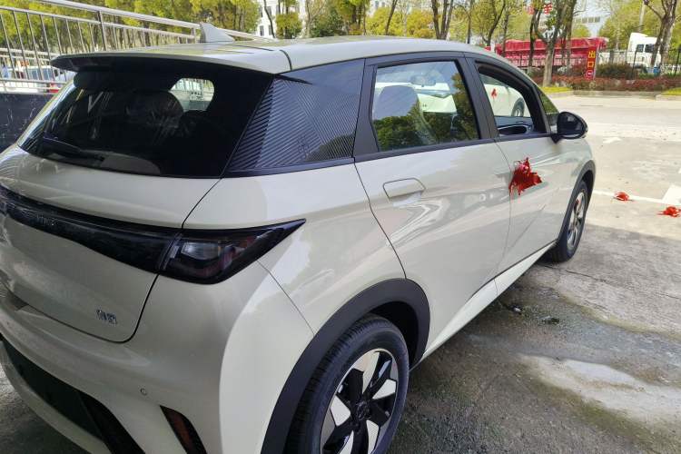 Used BYD Dolphin 2025 420km Free Edition Rear Right 45 Deg