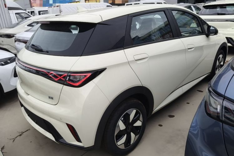 Used BYD Dolphin 2025 420km Free Edition Rear Right 45 Deg
