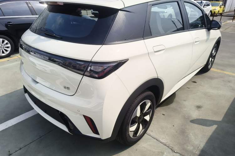 Used BYD Dolphin 2025 420km Free Edition Rear Right 45 Deg