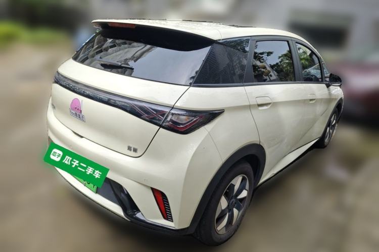 Used BYD Dolphin 2025 420km Fashion Edition Rear Right 45 Deg