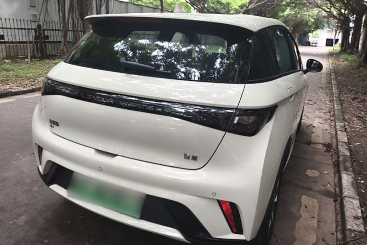 Used BYD Dolphin 2025 420km Free Edition Rear Right 45 Deg